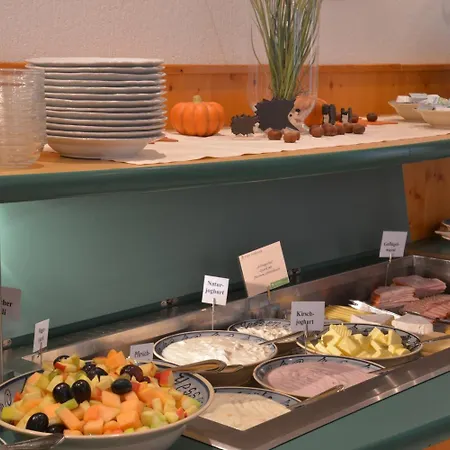 Parkhotel Zum Stern 酒店 4*