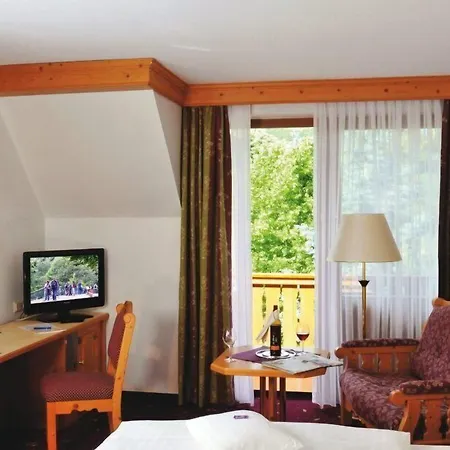 מלון Parkhotel Zum Stern 4*