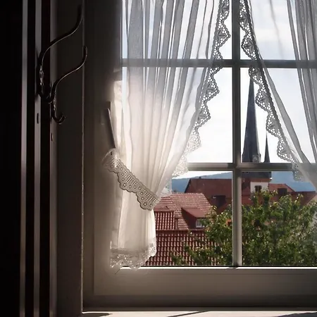 Parkhotel Zum Stern Hotell