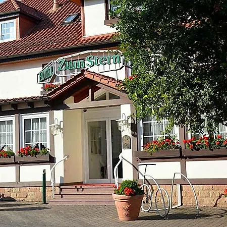 Parkhotel Zum Stern Hotel 4*