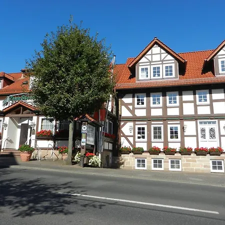 酒店 Parkhotel Zum Stern 4*