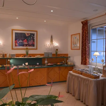 Parkhotel Zum Stern 酒店 4*