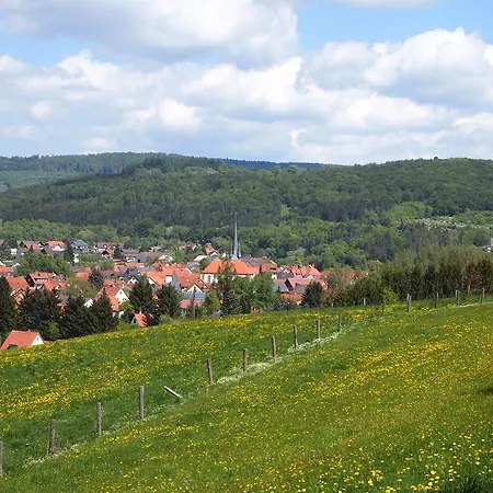 Parkhotel Zum Stern Hotell Oberaula