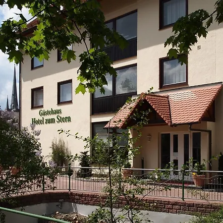 Hotell Parkhotel Zum Stern 4*