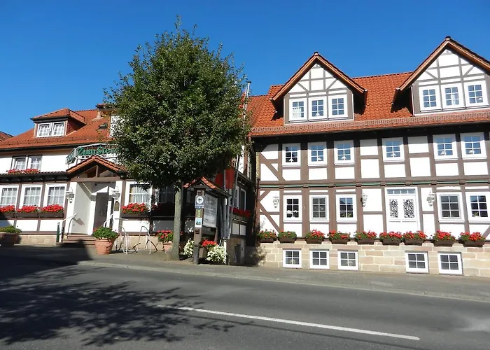 Hotel Parkhotel Zum Stern 4*